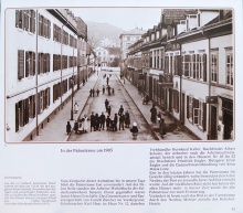 Palmstrasse